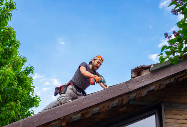 Best Roof Moss and Algae Removal  in Broomfield, CO