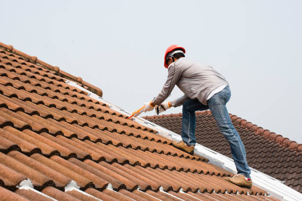 Roof Insulation in Broomfield, CO